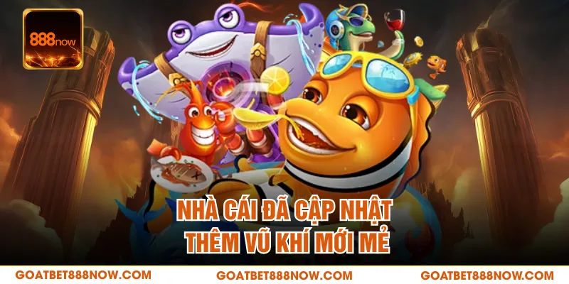 Nhà cái đã cập nhật thêm vũ khí mới mẻ