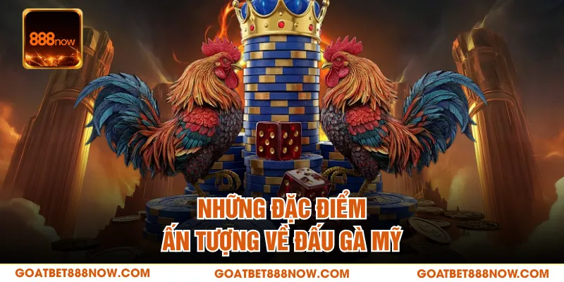 Những đặc điểm ấn tượng về đấu gà Mỹ