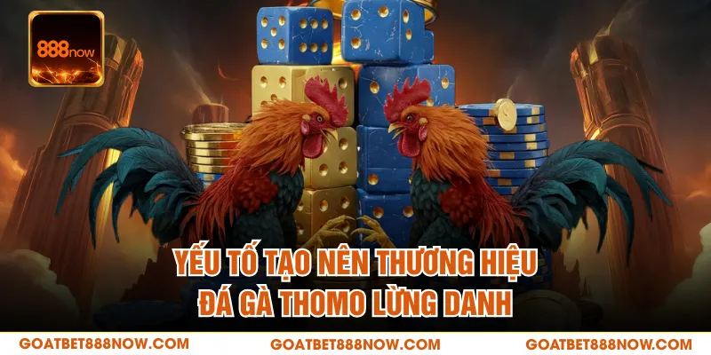 Yếu tố tạo nên thương hiệu đá gà Thomo lừng danh